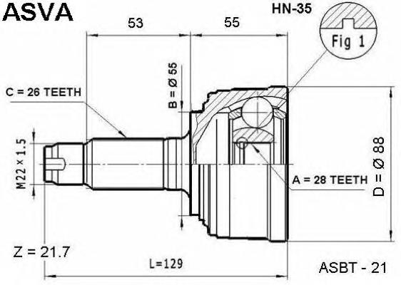 HN35 Asva junta homocinética exterior delantera