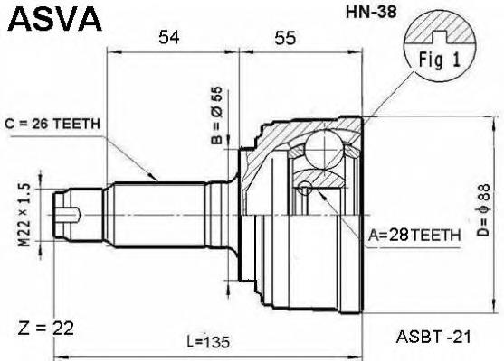 HN38 Asva junta homocinética exterior delantera