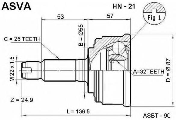 HN21 Asva junta homocinética exterior delantera