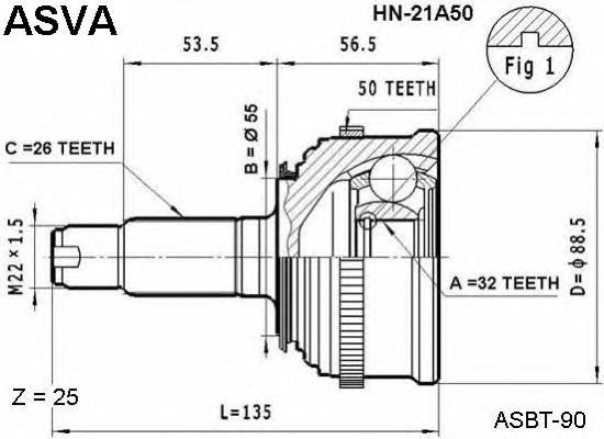 HN21A50 Asva junta homocinética exterior delantera