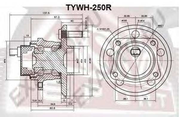 TYWH250R Asva