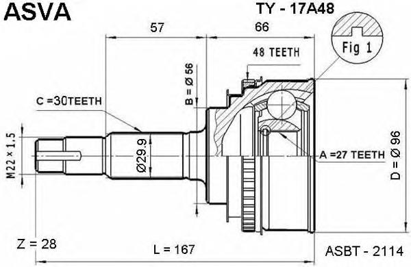 TY17A48 Asva junta homocinética exterior delantera