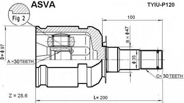TYIUP120 Asva