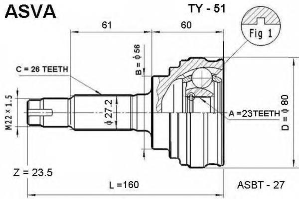 TY51 Asva junta homocinética exterior delantera