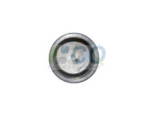 Pistón, pinza de freno delantero Euroex EX10507