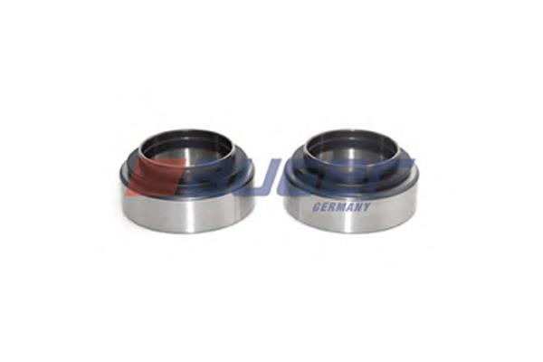 Cubo de rueda trasero 25603230A PE Automotive