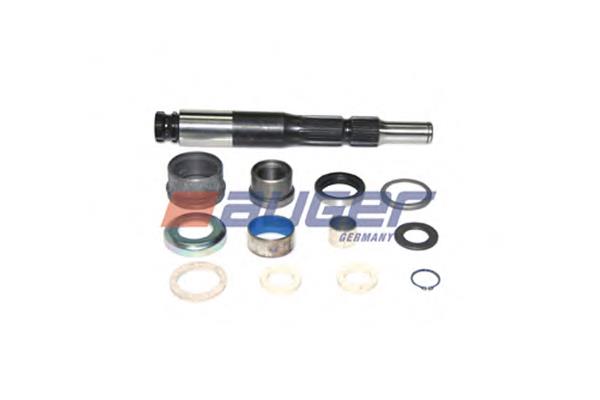 Kit de reparación de eje de horquilla de embrague Diesel Technic 490065