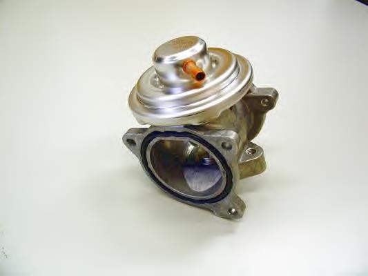 Comprar 7271D Wahler Válvula EGR