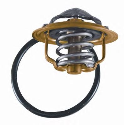 347287D Wahler Termostato de agua