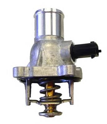 4431105D Wahler Termostato de agua