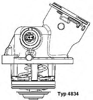 Termostato 4834100D Wahler