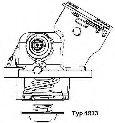 Comprar 4833100D Wahler Termostato