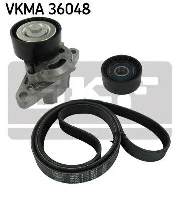 VKMA36048 SKF correa de transmisión