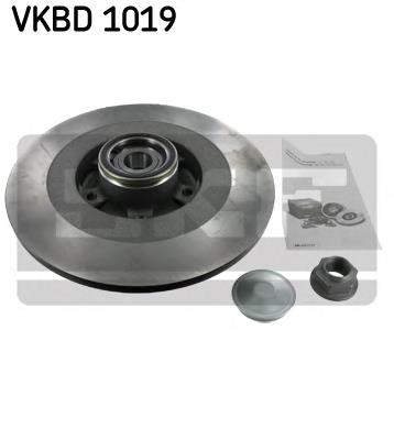 VKBD1019 SKF Freno de disco trasero