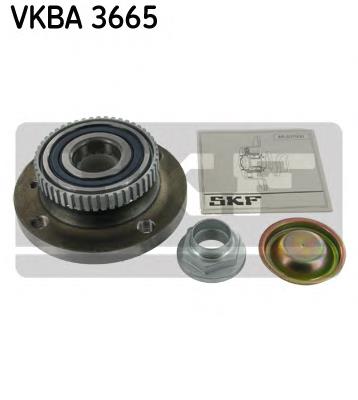 Cubo de rueda delantero VKBA3665 SKF
