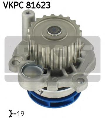 Bombeadora de agua SKF VKPC81623 precio, desde 30,22 EUR