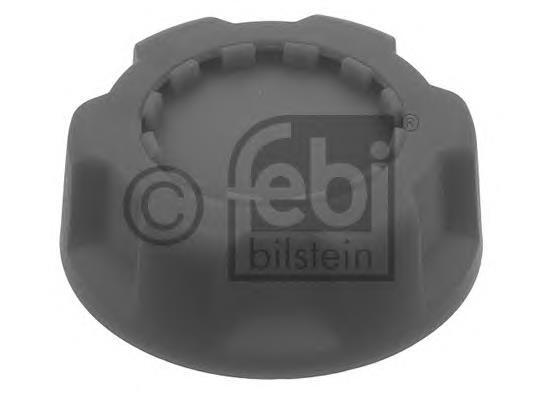 Tapon de aceite  Renault (RVI) 7420808207 precio, desde 14,30 EUR