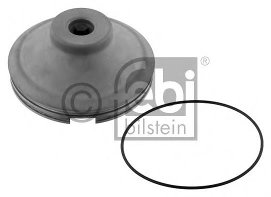 Comprar 1762224 Scania Tapa de cubo de rueda