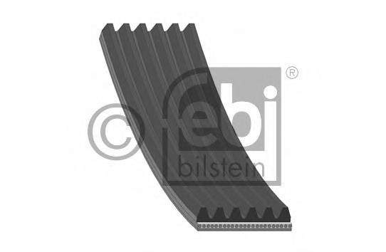 29019 Febi Correa poly v
