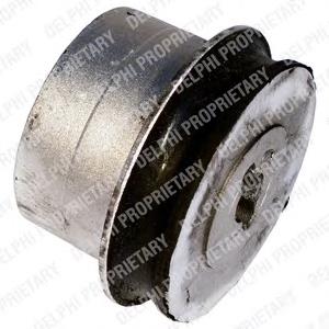 Buje delantero del brazo longitudinal trasero Delphi TD527W