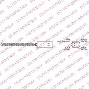 ES2017011B1 Delphi