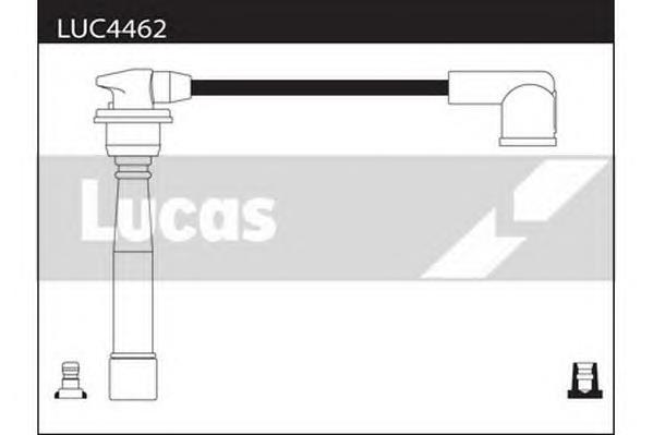 LUC4462 Lucas