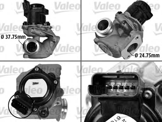 Comprar 700413 VALEO Válvula EGR