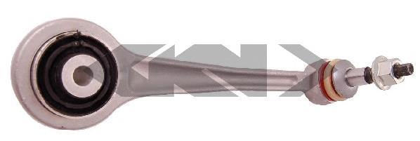 51382 GKN-Spidan brazo de suspension trasera derecha