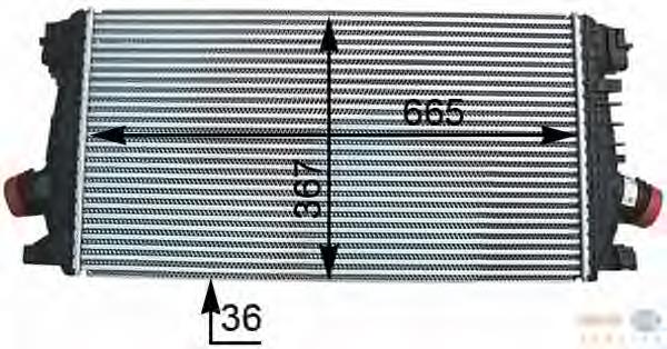 Radiador de aire de admisión HELLA 8ML376777281 precio, desde 56,63 EUR