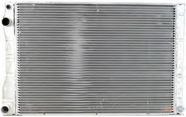 Radiador 6025312321 Renault (RVI)