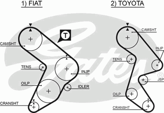 Correa distribución DD204 Japan Parts