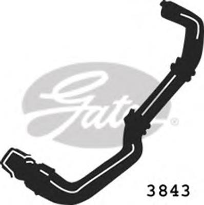 Comprar 3843 Gates Manguera inferior del radiador