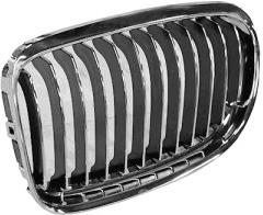 Rejilla derecha del radiador Prasco BM0262013 precio, desde 42,50 EUR
