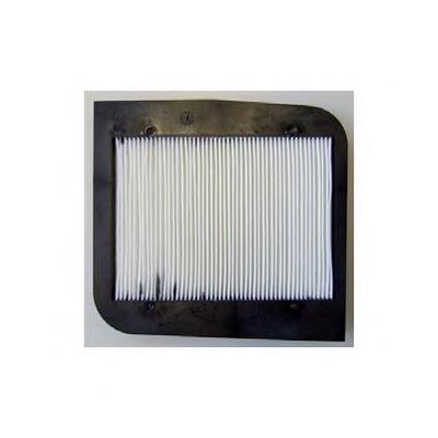 Filtro antipolen Nissan Primera  (1990-1996)