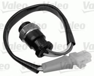 Sensor, temperatura del refrigerante (encendido el ventilador del radiador) 6025106008 Renault (RVI)