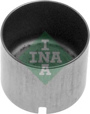 421001210 INA