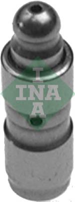 420009910 INA