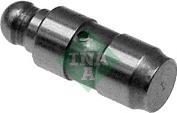 420018110 INA