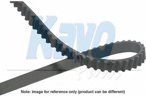 DTB8010 Kavo Parts Correa dentada