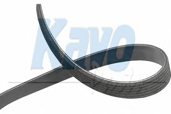 2521237111BR Hyundai/Kia Correa poly v