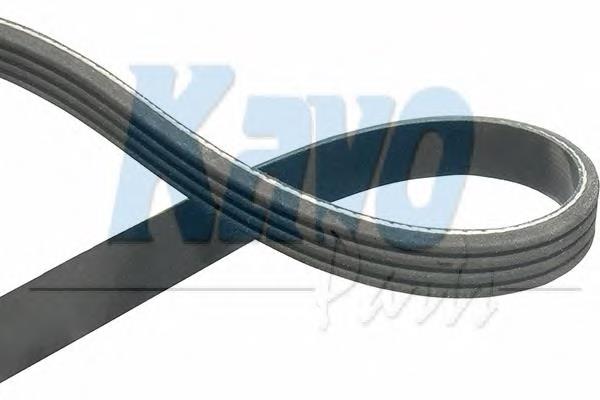 9091602543 Toyota Correa poly v