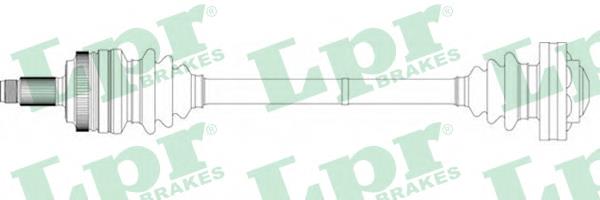DS15019 LPR Semieje trasero