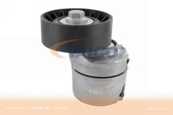 Tensor de correa poli V V250444 VEMO/Vaico