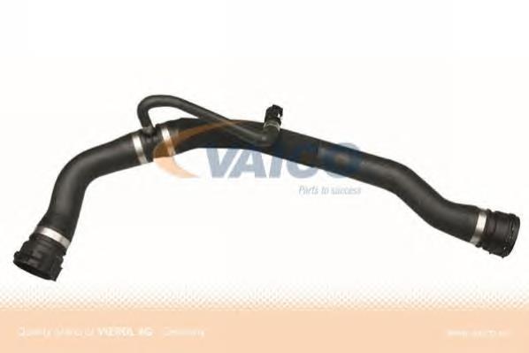 17127787448 BMW Manguera superior del radiador