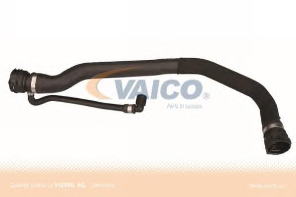 DWB095TT Thermotec Manguera superior del radiador