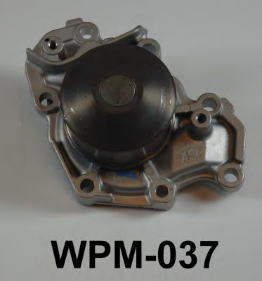 WPM-037 Aisin bomba de agua