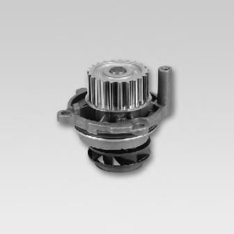 P572 Hepu