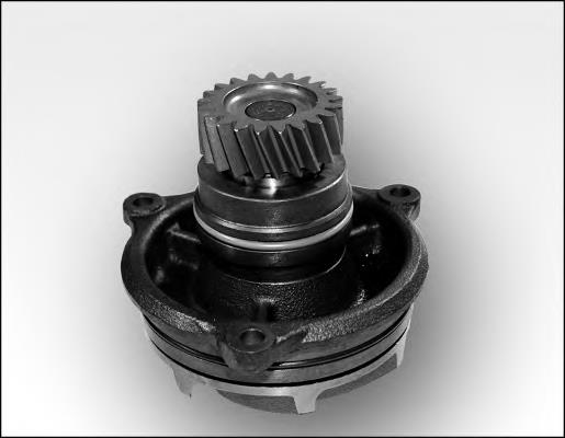  Dayco DP134