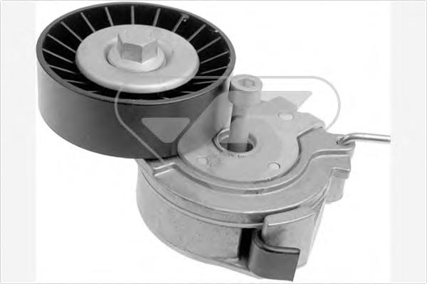 Comprar GA35875 SNR Tensor de correa poli V 