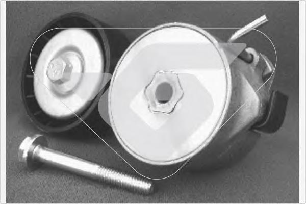 Tensor de la correa trapecial poli v Hutchinson T0206